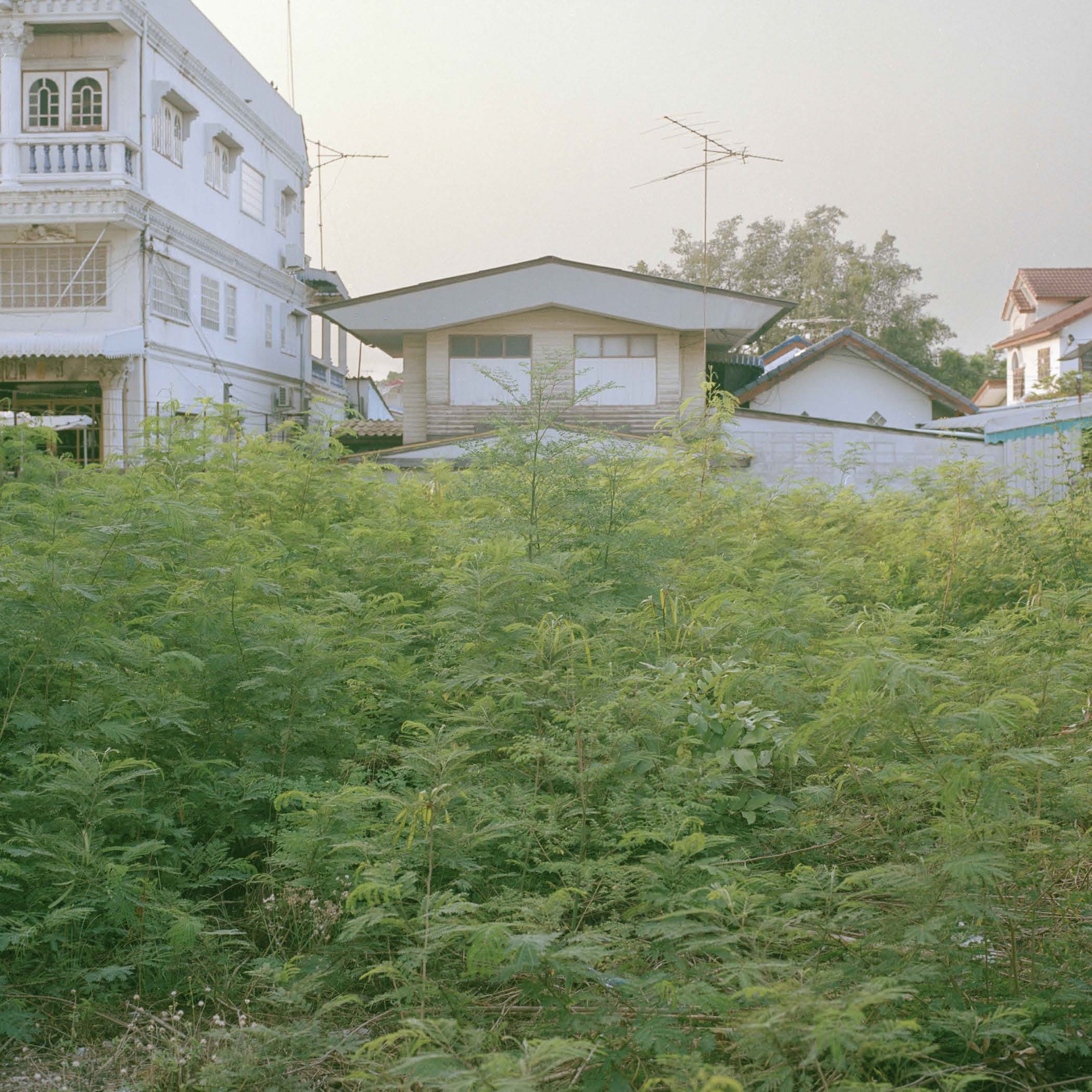 Mahachai, 2025. Documentation 6.